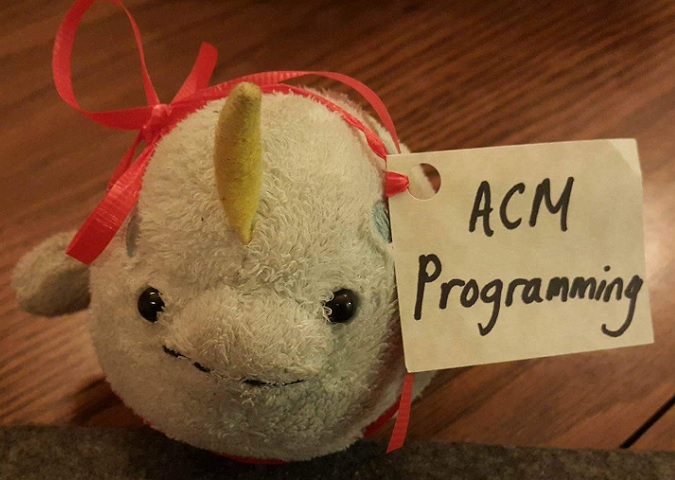 Cornell Acm Icpc