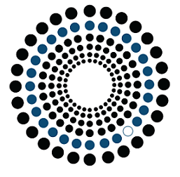 BOOM 2009 logo